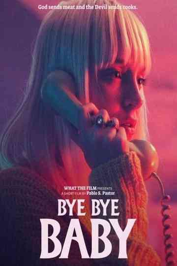 Bye Bye Baby Poster