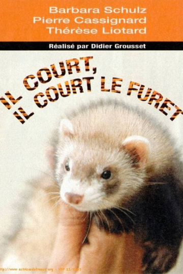 Il court il court le furet