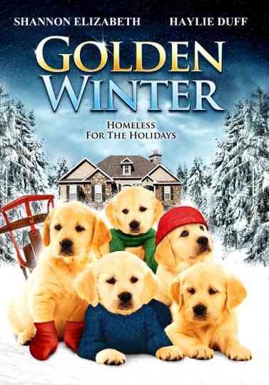 Golden Winter Collection Poster