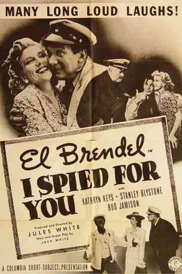 I Spied for You Poster