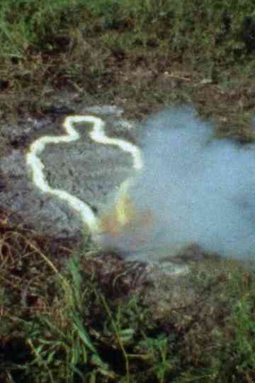 Untitled: 'Silueta' Sequence No. 1 Poster