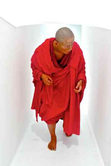 Walker Series Poster