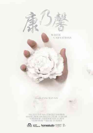 White Carnations Poster