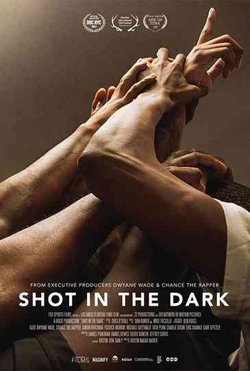 Shot in the Dark Poster
