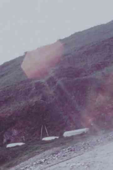 Fforest Bay II Poster