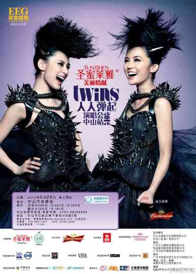 Twins 2010 Concert Poster