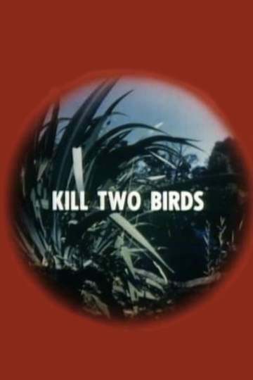 Kill Two Birds Poster