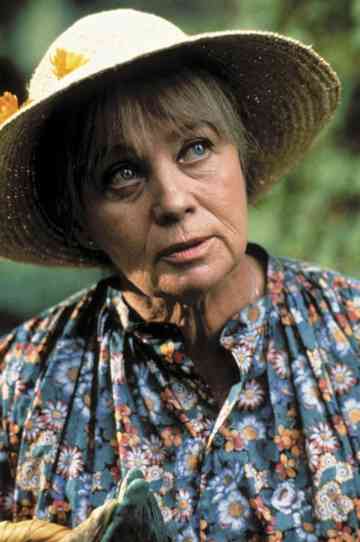 Sunday Pursuit Poster