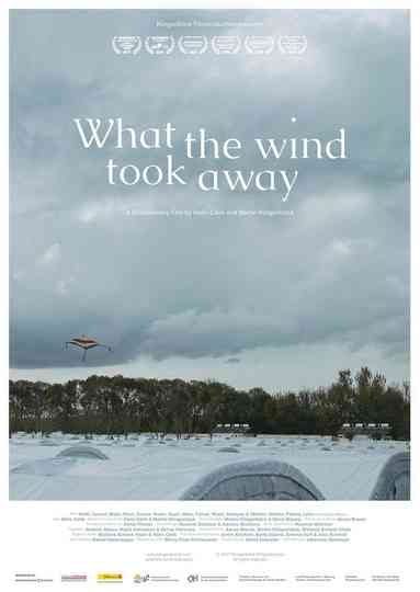 What the Wind Took Away Poster