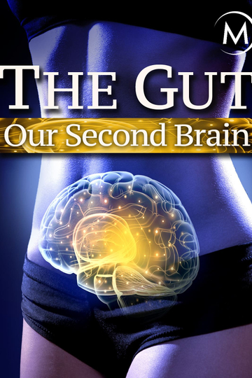 The Gut Our Second Brain