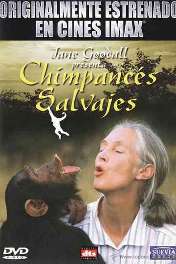 Imax  Chimpances Salvajes poster