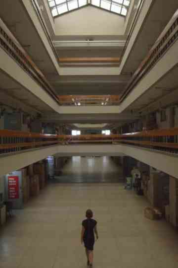 Ecology in Concrete Poster