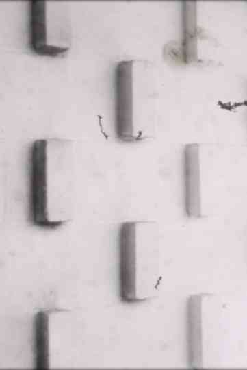 Modern Island Poster