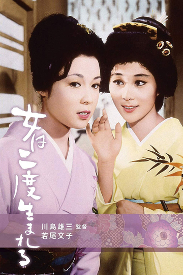 A Geisha's Diary Poster