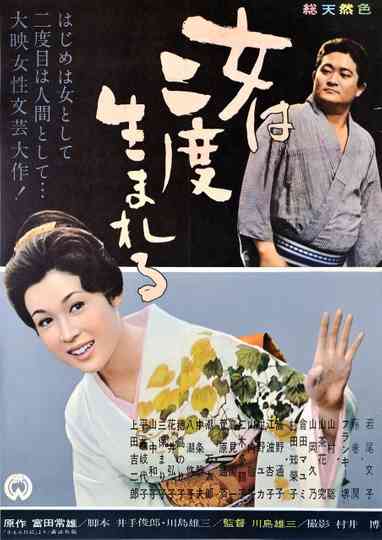 A Geisha's Diary Poster