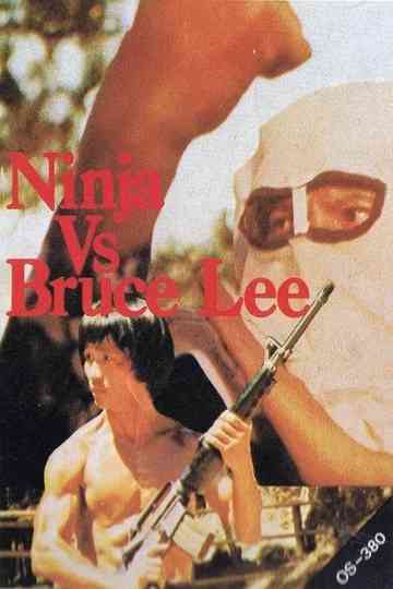 Ninja vs Bruce Lee Poster