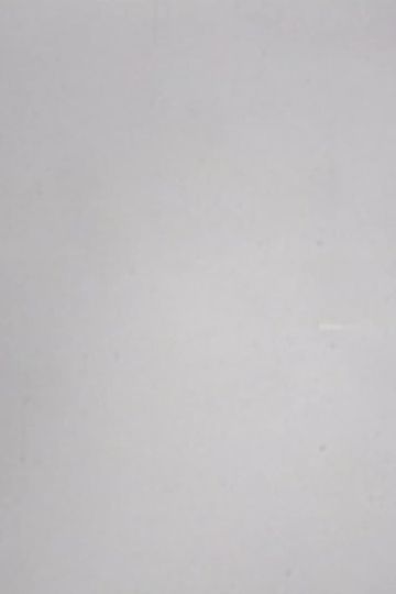 24 Frames per Second