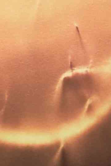 Light Licks: Only Sunshine Poster