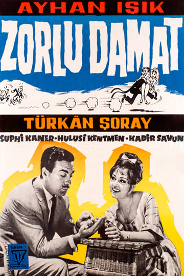 Zorlu Damat