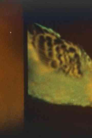 Nightmare Series Poster