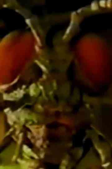 Ghosts of Fear Street: Return of the Bugman Poster