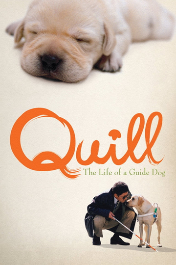 Quill The Life of a Guide Dog Poster