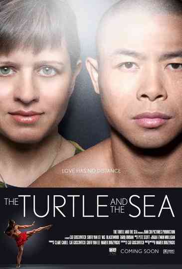 The Turtle and the Sea Poster