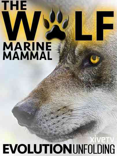 The Wolf Marine Mammal Poster