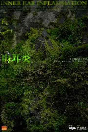 Inner Ear Inflammation Poster