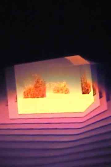 Activated Memory I Poster