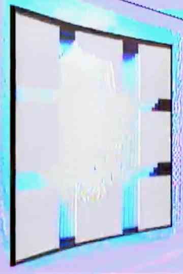 Experiment II Poster