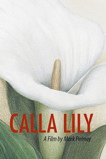 Calla Lily Poster