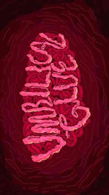 Umbilical Glue Poster