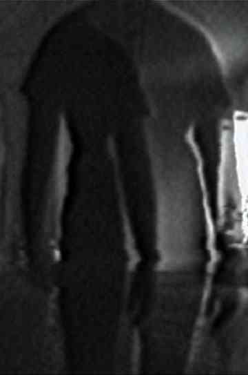 Double Vision Poster