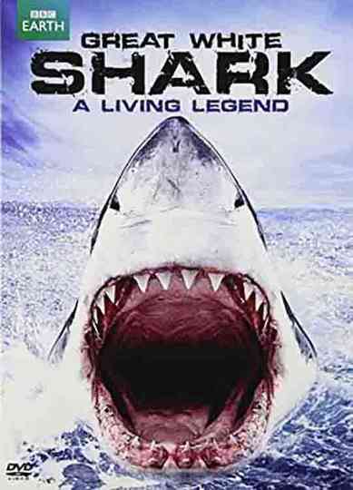 Great White Shark: A Living Legend Poster