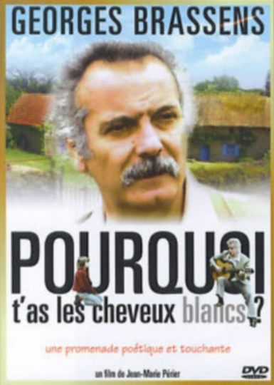 Pourquoi tas les cheveux blancs Poster