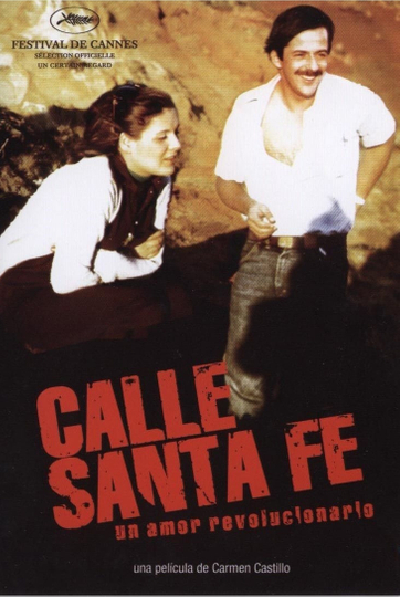 Calle Santa Fe Poster