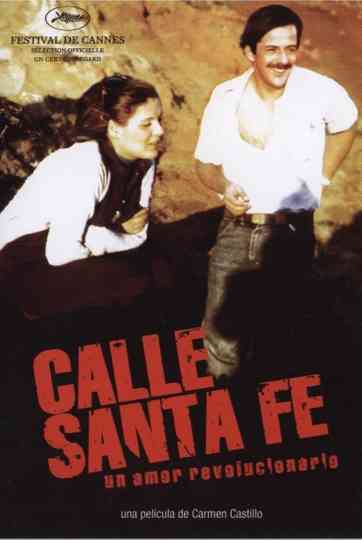 Calle Santa Fe Poster
