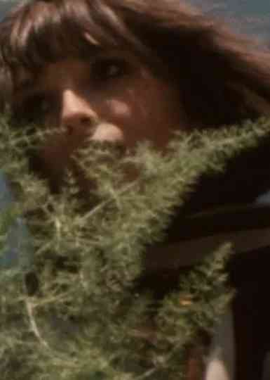 The Innerview Poster