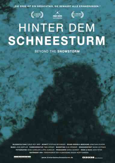 Beyond the Snowstorm Poster