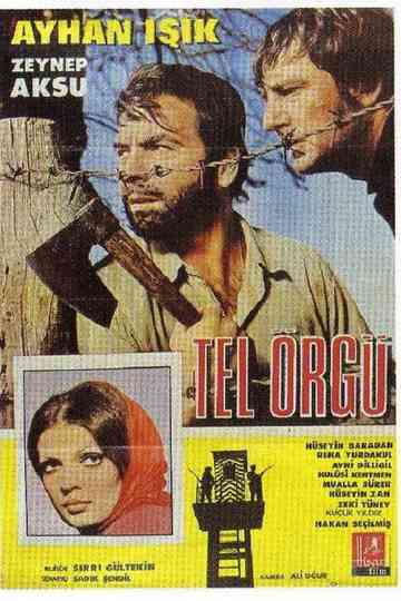 Tel Örgü Poster