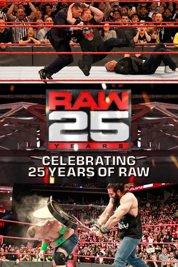 Raw 25 Celebrating 25 Years Of Raw