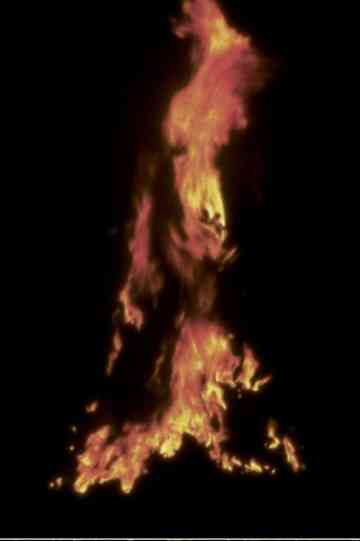 Untitled Silueta Sequence No 2 Poster