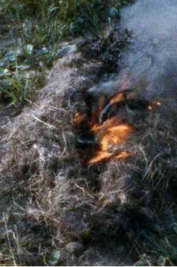 Untitled Silueta Sequence No 3 Poster