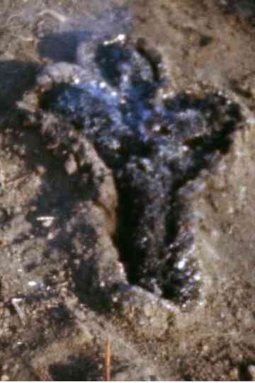 Untitled: Silueta Series (Gunpowder Works) Poster