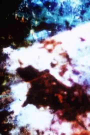 Quiet Chaos of Desire Poster