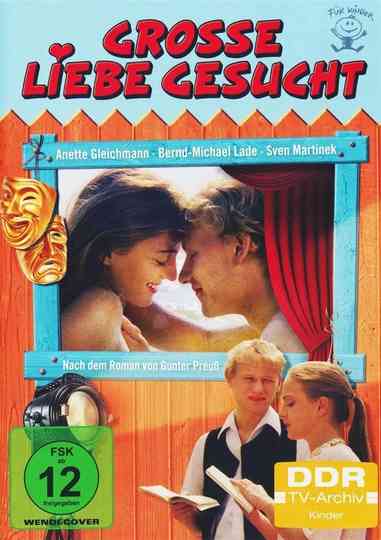 Große Liebe gesucht Poster