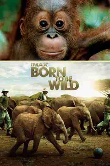Born to Be Wild Poster