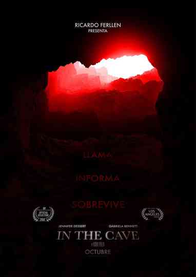 in the cave Poster