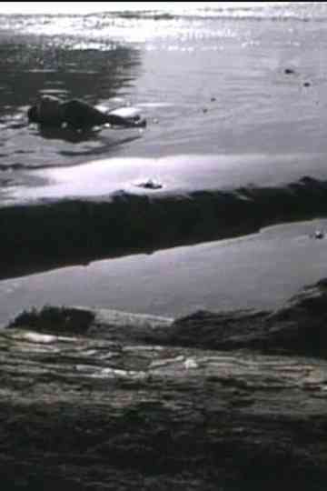 Incidence of Catastrophe Poster